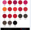 Dudaklar / Kaş / Eyeliner İçin Renk Pozitif Mikro Pigment Mürekkep 19 Renk İsteğe Bağlı